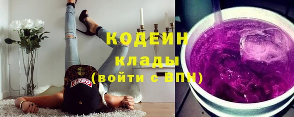 гашик Гусев