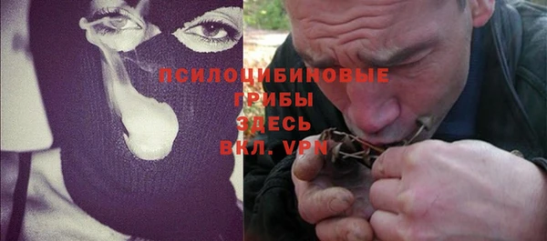 экстази Гусь-Хрустальный