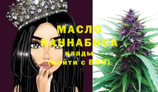 гашик Гусев