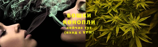 экстази Гусь-Хрустальный