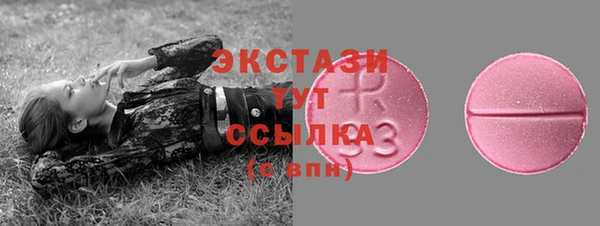 гашик Гусев