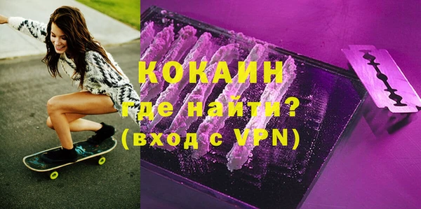 гашик Гусев