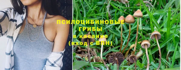 гашик Гусев