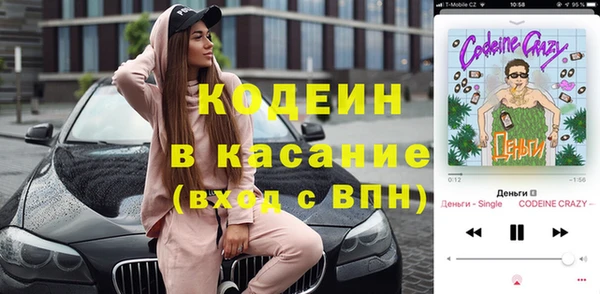 гашик Гусев