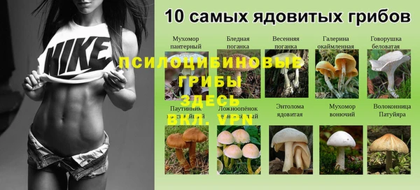 экстази Гусь-Хрустальный