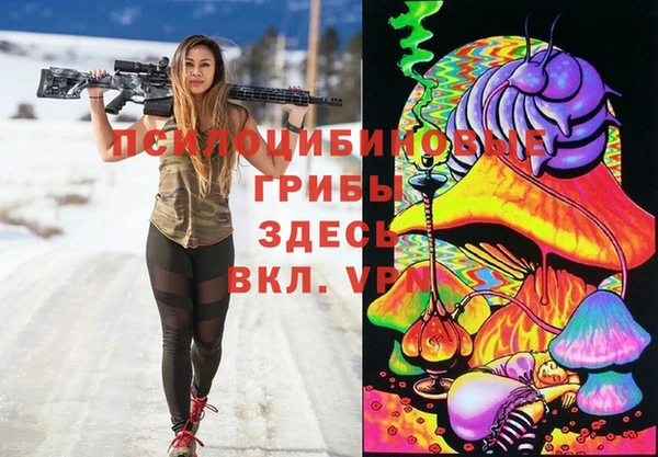 экстази Гусь-Хрустальный