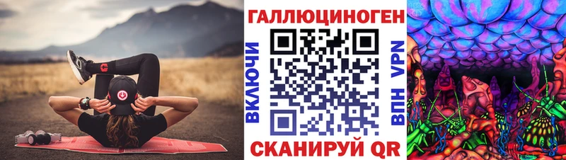 Галлюциногенные грибы Psilocybe  Донской 